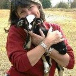 Meet your Posher, Jan